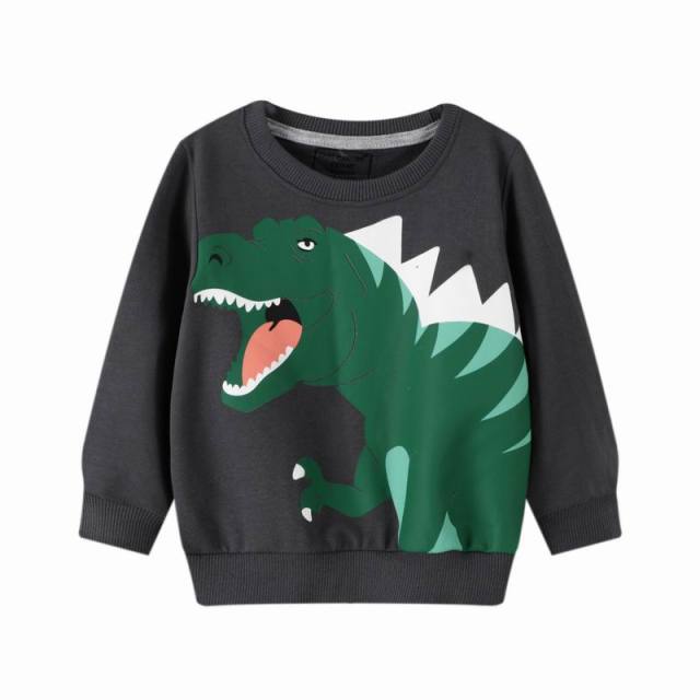 Boys Dinosaur Sweatshirt - Image 5