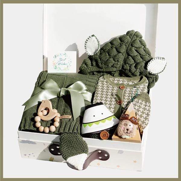 Dinosaur Baby Winter Gift Set - Image 5